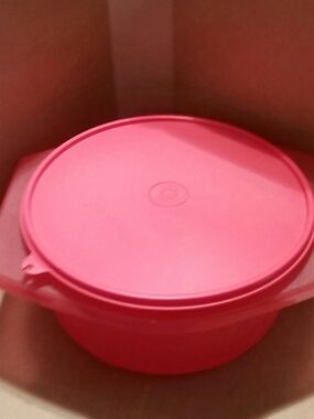 Tupperware Large Tortilla Keeper
